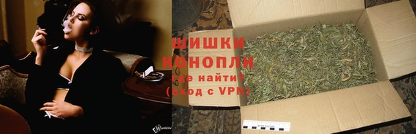 бошки Алексин