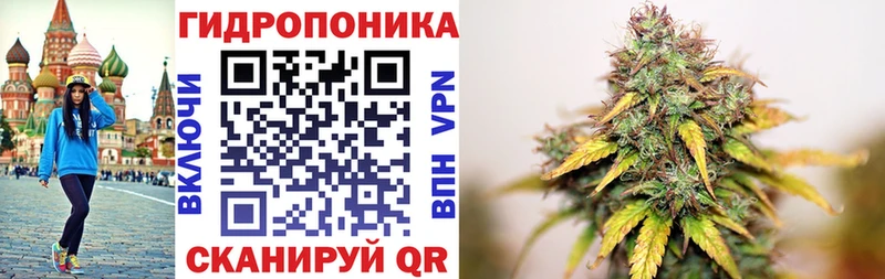 kraken ссылки  Поронайск  Канабис White Widow 